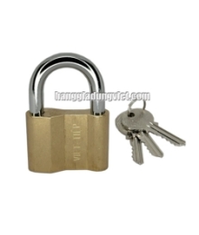 Ổ Khóa Đồng Việt Tiệp, Khóa Treo 163M