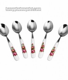 Bộ 5 muỗng inox cán sứ 14.5cm