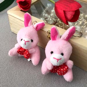 Combo 2 Móc Khóa Gấu Hồng