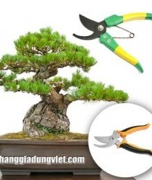 Kéo Cắt Tỉa Cây Cảnh